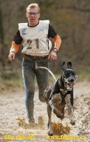 Bakonybel - 0436.JPG